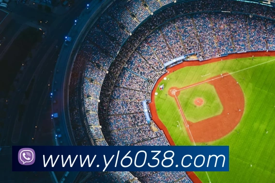 永利国际品牌故事