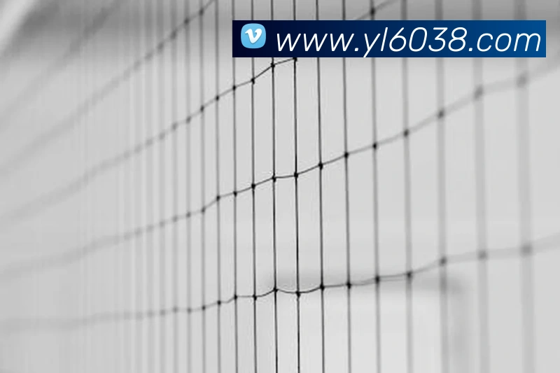 永利国际服务体系